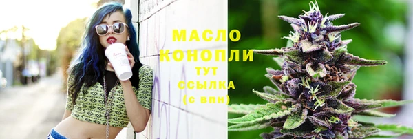тгк Абаза