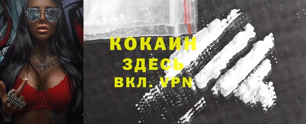 индика Абинск