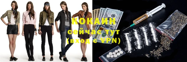 индика Абинск