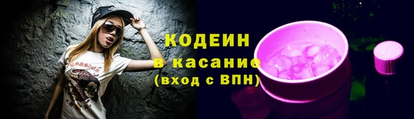 тгк Абаза