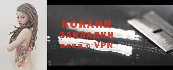 индика Абинск
