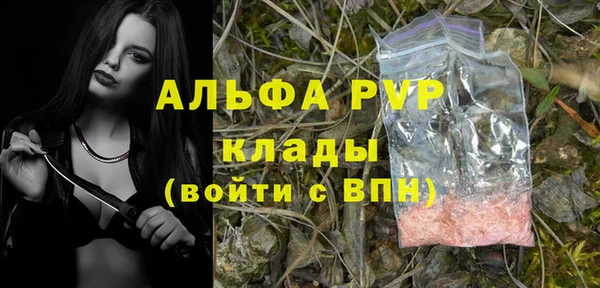 тгк Абаза