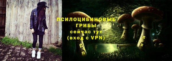индика Абинск