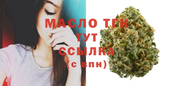 тгк Абаза