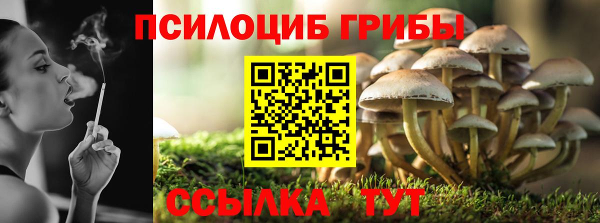 Кандалакша  Псилоцибиновые грибы GOLDEN TEACHER  Псилоцибиновые грибы Psilocybine cubensis  Вход с VPN 