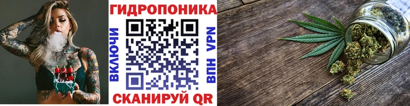где купить наркоту  Кандалакша  Бошки Шишки SATIVA & INDICA 